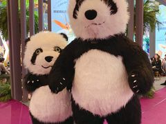 -东浩兰生上海世博展览馆