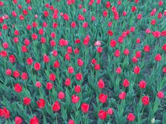 -长春公园(普阳街道)