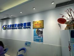 -北京观赏动物医院·24小时大型综合·猫专科·异宠专科