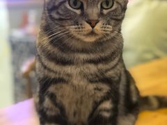 -平行世界·猫咖(首经贸店)