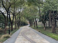 -渤公岛生态公园