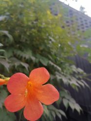 -YUEYAR PHOTO摄影
