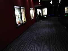 -中影星美国际影城(西乡天虹店)