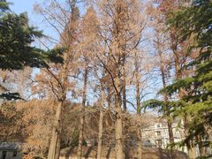 -昆嵛山石门里景区