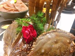 -米乐星世界KTV(汇智国际商业中心店)