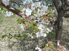 -同济大学(嘉定校区)