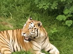 -石家庄市动物园