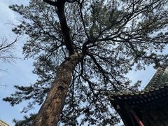 -潭柘寺景区