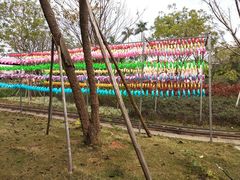 -美的鹭湖探索王国