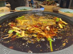 -费明中罗非鱼(大石坝店)