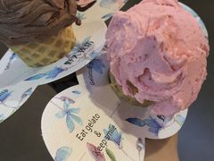-野人先生现做冰淇淋(西安赛格店)