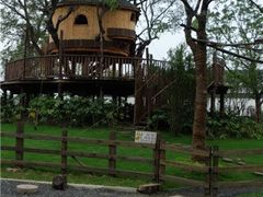 -田园东方蜜桃村的田野营地