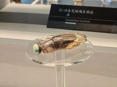 -四川大学博物馆