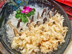 鸡枞菌拼绣球菌-纯味斑鱼府(中海环宇荟店)