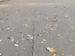 -森林公园(尖草坪区)