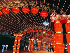 -沈阳奥体冰雪嘉年华
