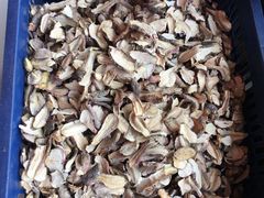 -蘑统田下·野生菌火锅