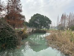 -贡湖湾湿地公园