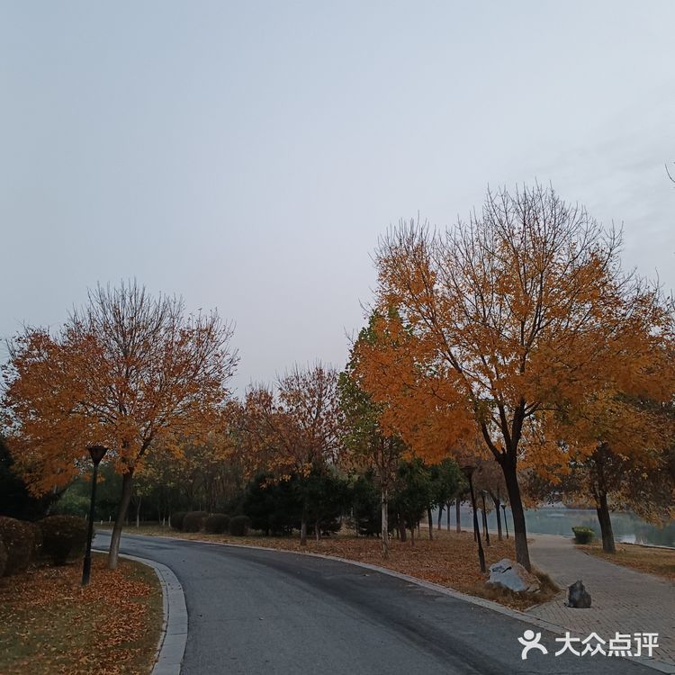 与热情的井陉跑友联谊，一起跑完山地半程马拉松后在此小聚！