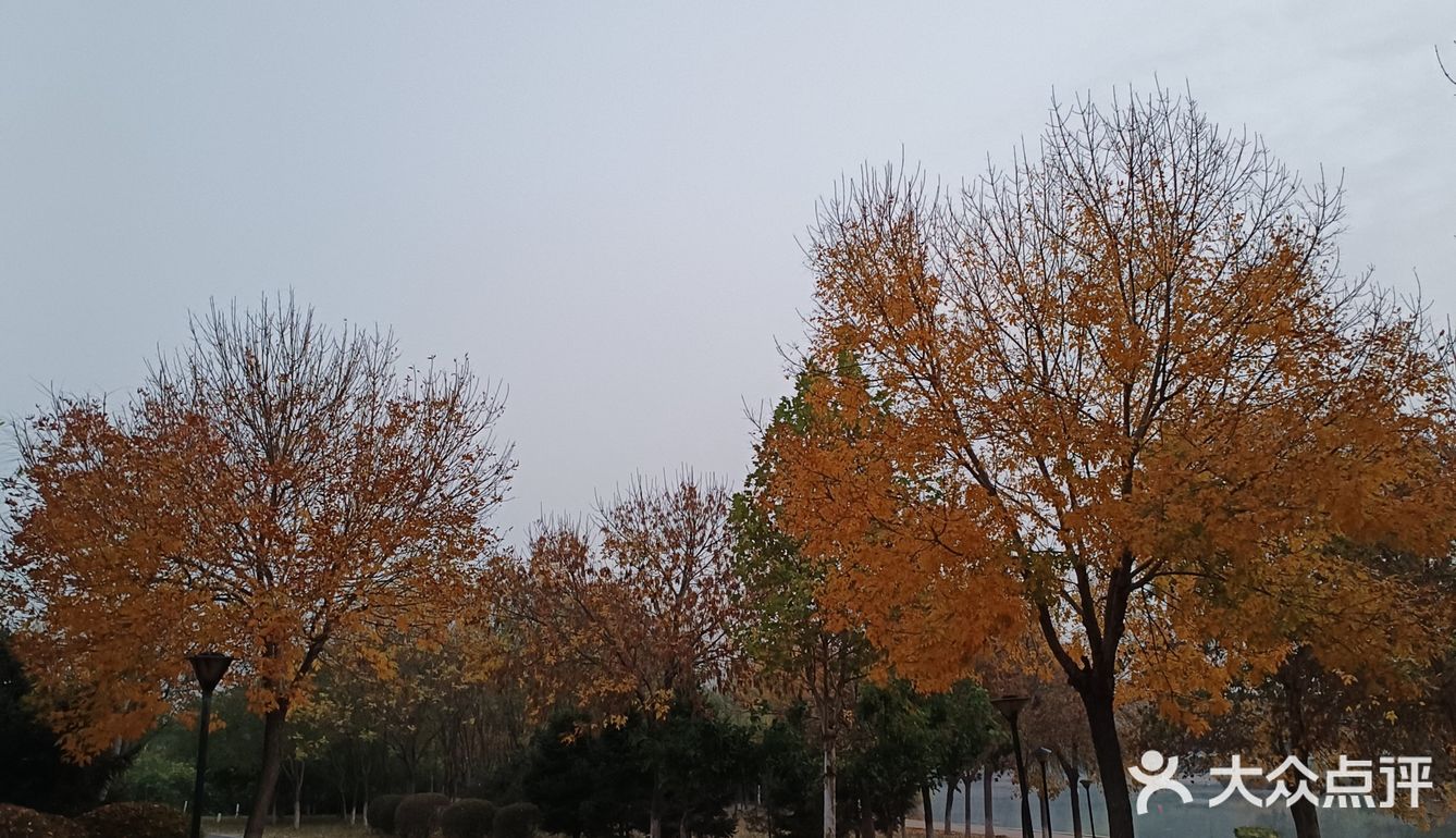 与热情的井陉跑友联谊，一起跑完山地半程马拉松后在此小聚！