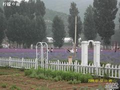 -紫海香堤香草艺术庄园
