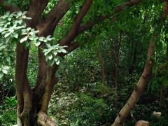 -成都市活水公园