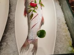 鲃鱼打边炉（四条）-二十八里太湖船菜(吉祥路店)