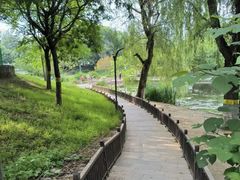 -大兴滨河森林公园