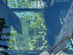 -海南热带野生动植物园