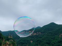 -望湖烤鱼