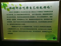 -上海昆虫博物馆