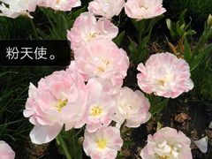 -大宁公园