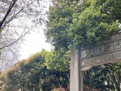 -苏州上方山国家森林公园