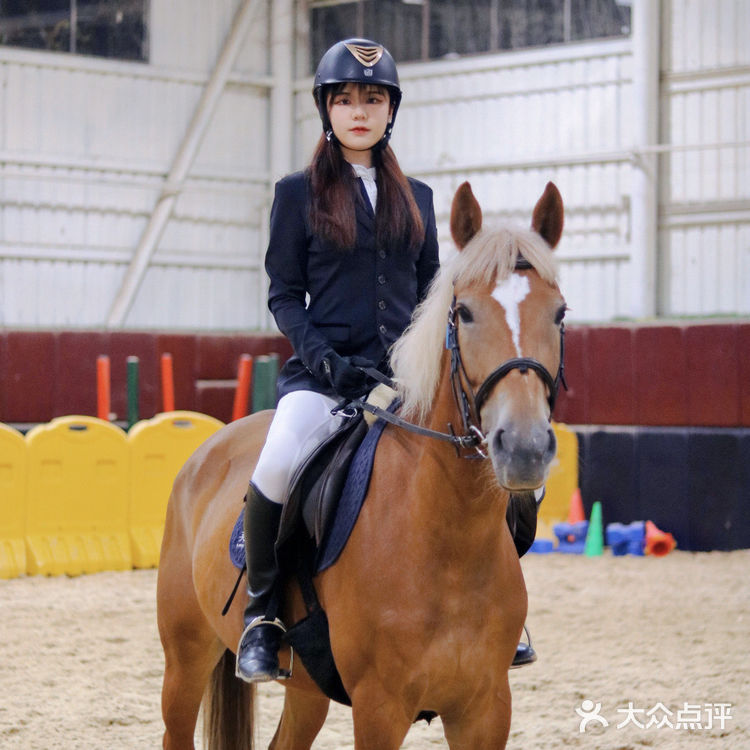 厦门·一起喝下午茶吗？！自带马场的那种🐎