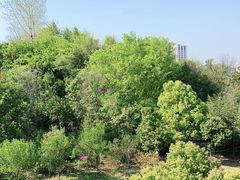 -南京财经大学(仙林校区)