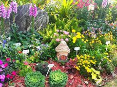 -东莞植物园