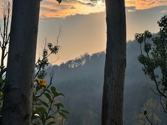 -千年银杏谷文化旅游区