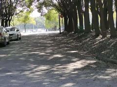 -胜华驾校·小猫学车(银都店)