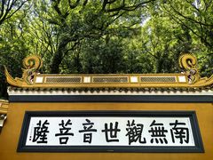 -普陀山风景名胜区-法雨禅寺