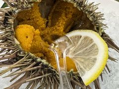 -日月昇渔家菜·海肠捞饭·大连海鲜(星海公园店)