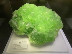 -湖南省地质博物馆