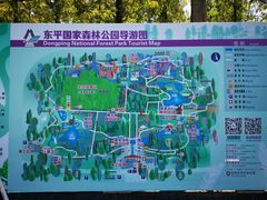 -东平国家森林公园