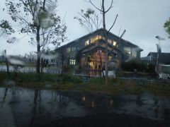 -盐城丹顶鹤湿地生态旅游区