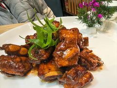 -丁老爷子苏香圆