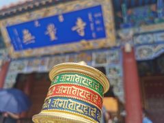 -大召无量寺