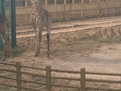 -鄂尔多斯野生动物园