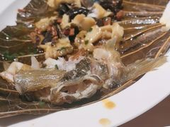 -香樟花园法式铁板烧(恒隆广场店)