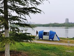 -灞河西岸滨河公园