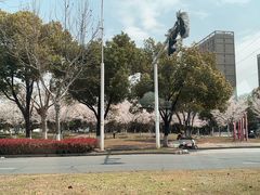 -金银湖国家城市湿地公园
