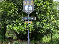 -杏花村文化旅游区